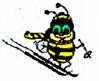 Skibees (Blue Mountain and Area Traveling Ski Group) image 3