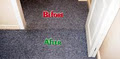Spider Carpet Cleaning Services image 2