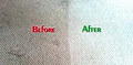 Spider Carpet Cleaning Services image 1