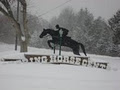The Pickering Horse Centre image 3