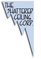 The Shattered Ceiling Corporation. image 3