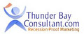 Thunder Bay Consultant logo