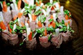 Todric's fine dining and catering logo