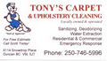 Tony's Carpet & Upholstery Cleaning image 1