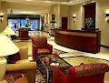 Toronto Marriott Bloor Yorkville Hotel image 5
