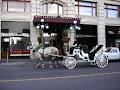 Victoria Carriage Tours image 5