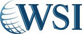 WSI Optimized eSolutions logo