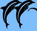 Walking Dolphins Consultancy Inc. logo
