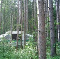 Wasaga Dunes Family Campground image 3