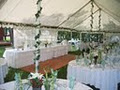 Weatherwise Tent Rentals image 6