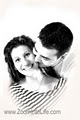 ZoomIntoLife.com PHOTOGRAPHY image 5