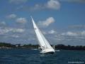 Algoma Sailing Club image 6