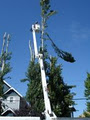 All Round Tree Service Ltd. image 2