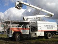 All Round Tree Service Ltd. image 1