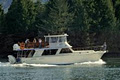 Archipelago Cruises image 1