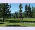 Arrowsmith Golf & Country Club image 5