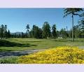 Arrowsmith Golf & Country Club image 6