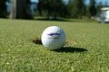 Arrowsmith Golf & Country Club logo