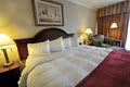 BEST WESTERN St. Catharines Hotel & Conference Centre image 3