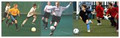 Barrie Sports Dome image 3