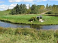 Beaverdam Golf Course image 3