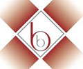 Beyond brick logo