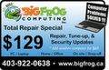 BigFrog Computing Inc. image 5