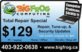 BigFrog Computing Inc. image 6
