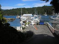 Bird's Eye Cove Marina image 1