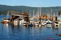 Bluenose Marina image 5