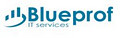 Blueprof Consulting Inc. image 2