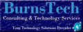Burnstech Consulting & Technology Services logo