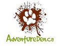 Canine Adventure Den Dog Daycare & Pet Store image 6