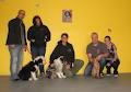 Canine Company Clicker Training & Consulting image 1