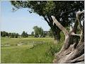 Chippewa Creek Golf & Country Club image 5
