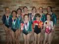 Club de Gymnastique Sher-Gym de Sherbrooke Inc image 2