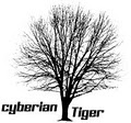 Cyberian Tiger Inc. logo