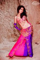 Dahab Bellydance logo