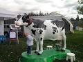 Dairy Farmers of Canada image 4