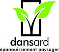 Dansard image 4