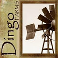 Dingo Farms logo