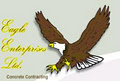 Eagle Enterprises Ltd logo