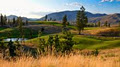 Eaglepoint Golf Resort image 4
