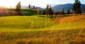 Eaglepoint Golf Resort logo