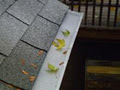 Eavestrough Cleaning Kitchener image 4