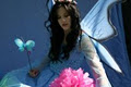 Enchanted Teacup logo