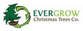 Evergrow Christmas Trees Co. logo