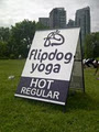 Flipdog Yoga image 5