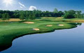 Forest City National Golf Club logo
