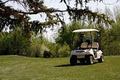 Fox Run Golf Course image 4